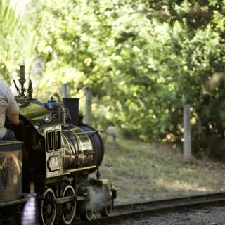 Locomotive Adventure in the Forest
