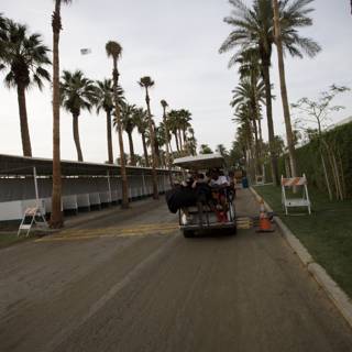 Palm Tree Cart Ride