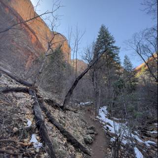 Tranquil Trail through the Sedona Mountains