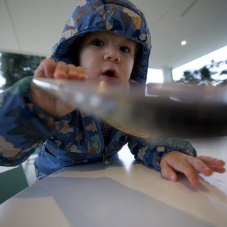Curious Toddler Reaching Across Restaurant Table