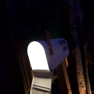 Illuminated Mailbox Against Night Sky and Trees