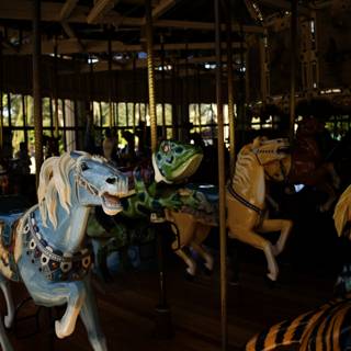 Spinning Magic at the Golden Gate Park Carousel, 2023