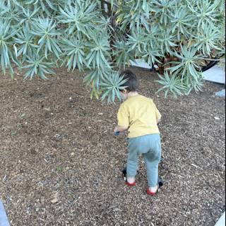 Exploring Nature's Playground