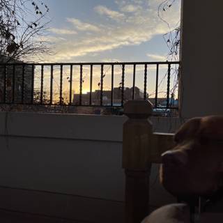 Pensive Pup on the Balcony