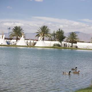 Tranquil Lake Scene at Coachella 2012