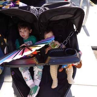 Sunny Day Stroll