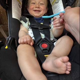 Joyful Moments in Walnut Creek