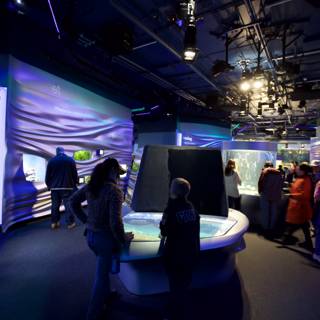Blue-Lit Aquarium Exhibit Captivates Visitors