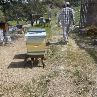 Beekeeping in the California Countryside