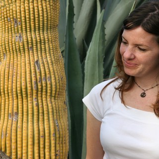 likely-a-botanical-garden-in-the-american-southwest-possibly-arizona