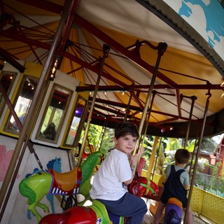Boy Enjoying Colorful Carousel Ride at Fantasyland