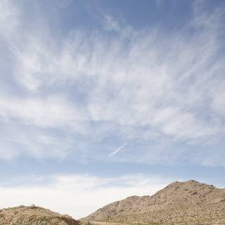 Desert Kite Flyer
