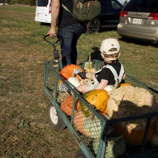 A Day of Harvest: Pumpkin Patch Adventure