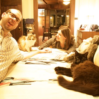 Cozy Bedroom Evening with Two Cats and Couple