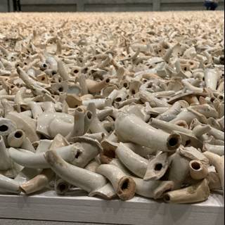 Remnants of Ivory Trade