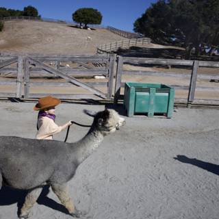 Little Wrangler at Carmel Valley Ranch