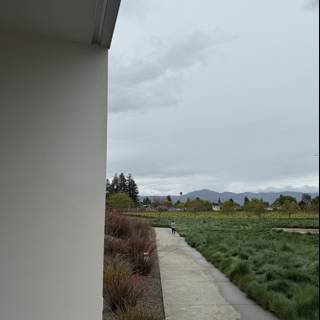 Solitude in Napa