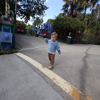 Young Child Exploring Fantasyland Park Pathway