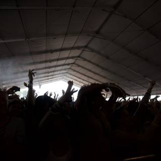 Crowd's Hands Up at Coachella Concert