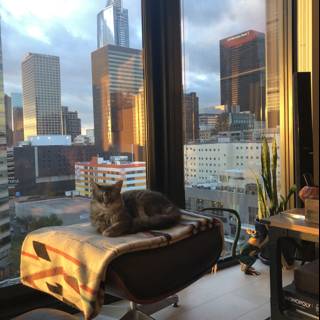 Feline overlooking the Metropolis