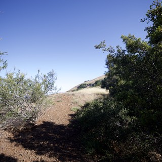 Sunlit Dirt Trail Ascending Through Chaparral Scrub