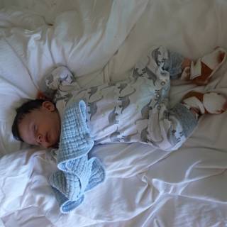 Serene Slumbers: Baby's Tranquil Moments.