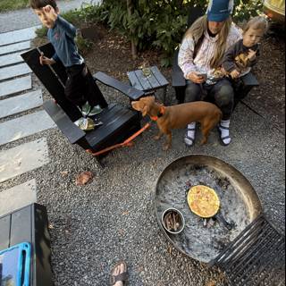 Morning Happiness in Guerneville