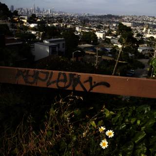 Urban Blossom: A Contrast of Graffiti and Greenery