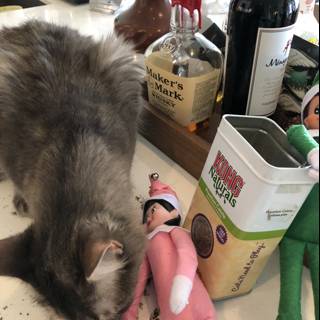 Cat and Doll on the Counter