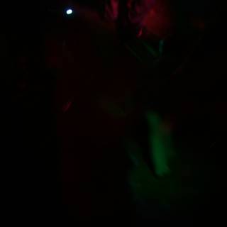Green Light at the Night Club