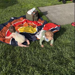 Adventures in the Grass
