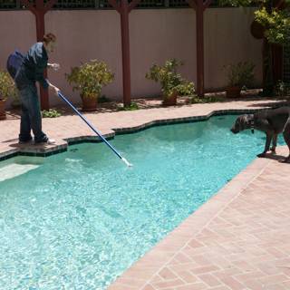 Cleaning the Pool