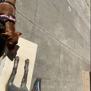 A Curious Canine Sniffs an Artistic Statue
