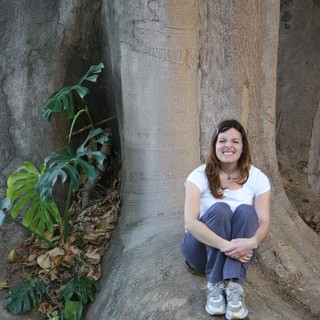 roots