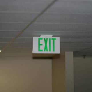 The Green Exit