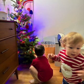 Children Captivated by Decorated Christmas Tree at Night