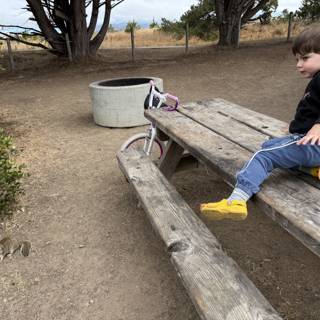 Curious Encounters in Cambria