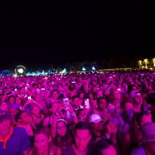 Pink Lights and a Happy Crowd at Coachella