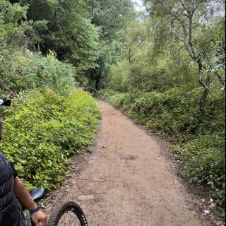 Adventure Awaits on the Redwood Trail