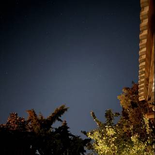Nocturnal Serenity
