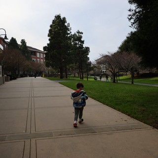 campus or educational facility