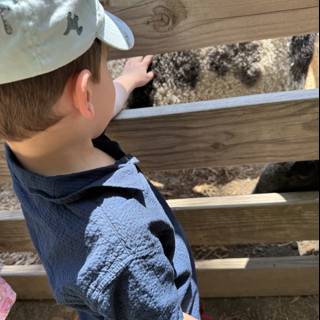 Curious Encounters at Tilden Nature Area