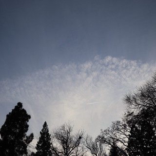 Evening Sky with Billowing Clouds Above Winter Trees