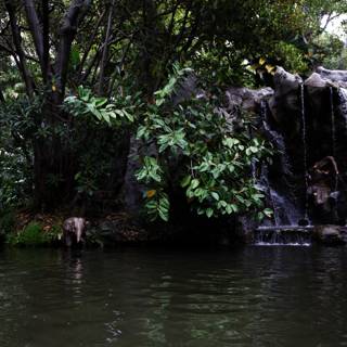 Enchanting Jungle Waterfall