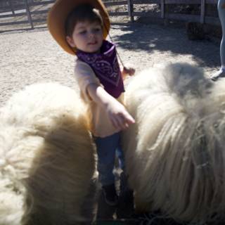 Little Rancher Adventure