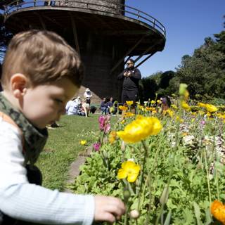 Discovering Nature's Beauty - Springtime in Golden Gate Park