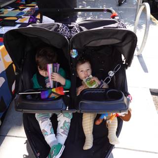 Double Stroller Adventures