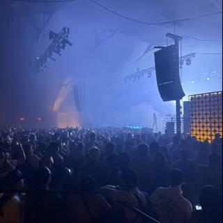 Electric Vibes Under the Stars