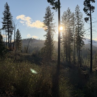 wildfire-recovery
