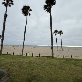 Tranquil Shores of Oxnard